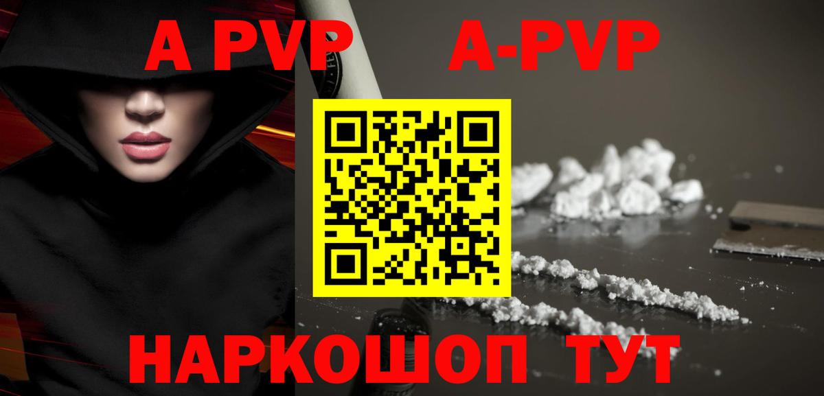 A PVP СК КРИС Надым
