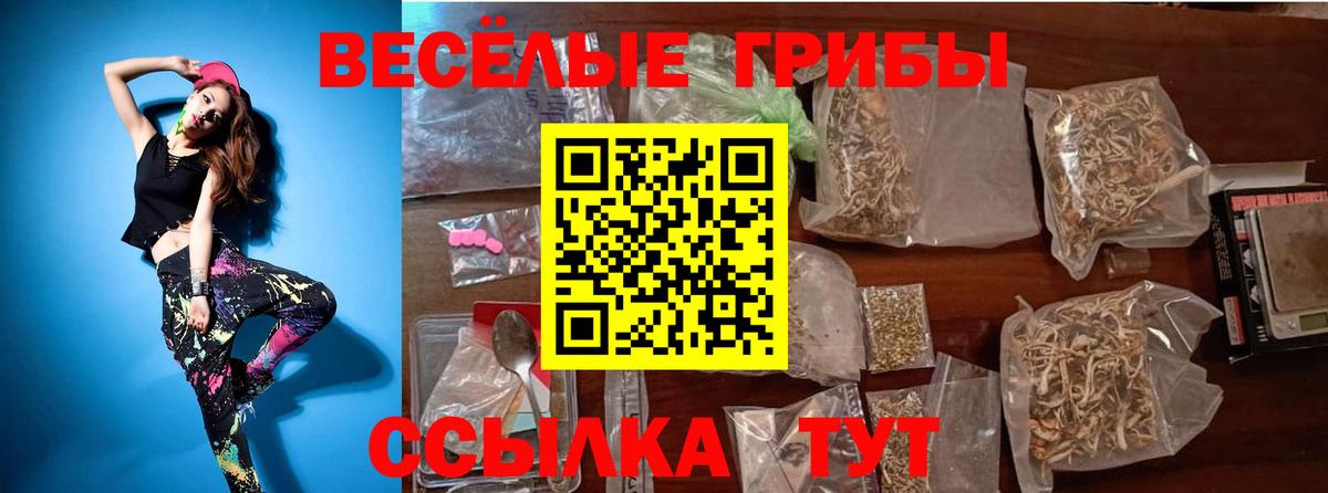 Галлюциногенные грибы MAGIC MUSHROOMS  Вход с VPN  Надым 